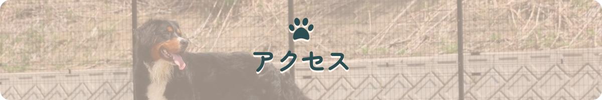 淡路島の愛犬と泊まれる貸別荘「ハウオリ」