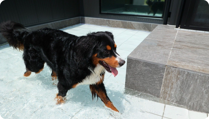 淡路島の愛犬と泊まれる貸別荘「ハウオリ」