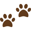 淡路島の愛犬と泊まれる貸別荘「ハウオリ」